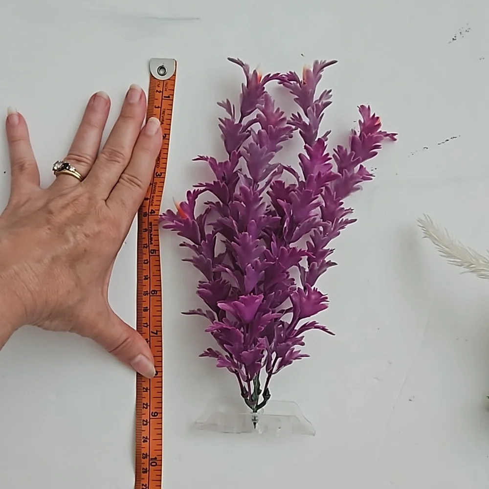 Aquarium or fish tank plants